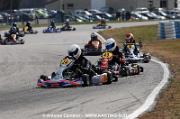 DSC_0319 (3)